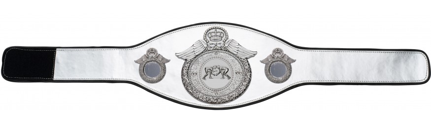 GRAPPLING CHAMPIONSHIP BELT-PROWING/S/GRAPPS-6+ COLOURS